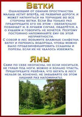 Обложка для материала ветки и ямы