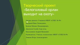 Творческий проект - презентация "Белоголовый орлан"