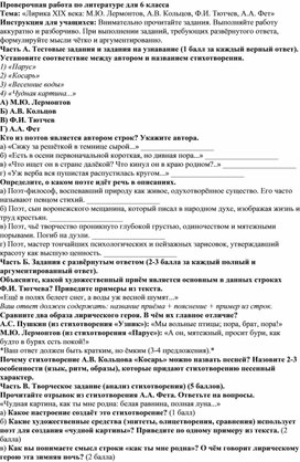 Обложка для материала Проверочная работа по литературе Лирика XIX века 6 класс