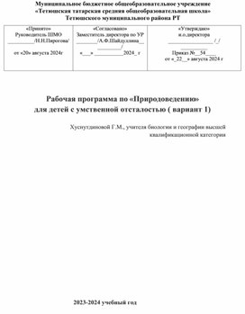 Обложка для материала Рабочая программа для детей с ОВЗ
