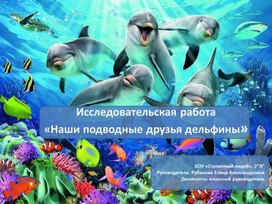 Наши подводные друзья дельфины