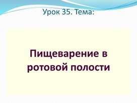 Обложка для материала Пищеварение в ротовой полости