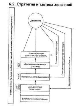 Обложка для материала материал по психофизиологии