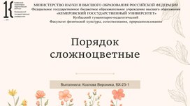 Сложноцветковые