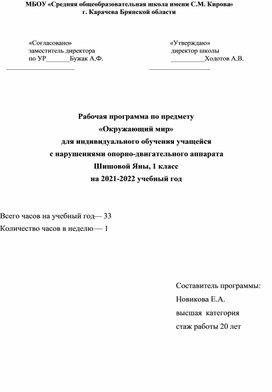 Рабочая программа по предмету «Мир природы и человека» для индивидуального обучения учащейся  с нарушениями опорно-двигательного аппарата,1-й год обучения