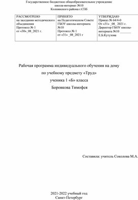 Труд программа для надомника ОВЗ