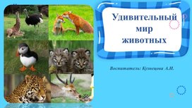 Презентация "Удивительный мир животных"