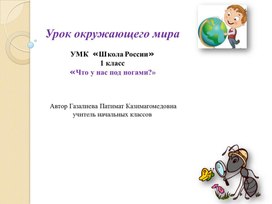 Презентация к уроку окружающий мир на тему "Что у нас под ногами?"