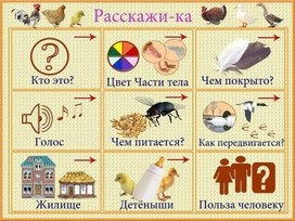 Обложка для материала расскажи-ка