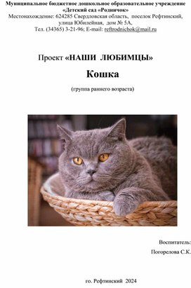 Обложка для материала Проект "Наши любимцы - кошка"