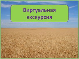 Виртуальная экскурсия "Болото и его обитатели" презентация