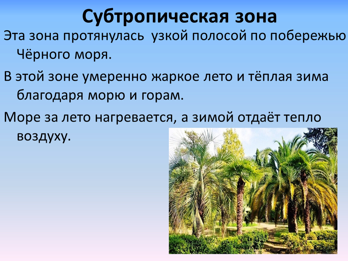 Субтропики природная зона. В субтропической зоне умеренно жаркое лето и теплая зима. Презентация урока географии 7 класс 8 вид население зоны субтропиков.