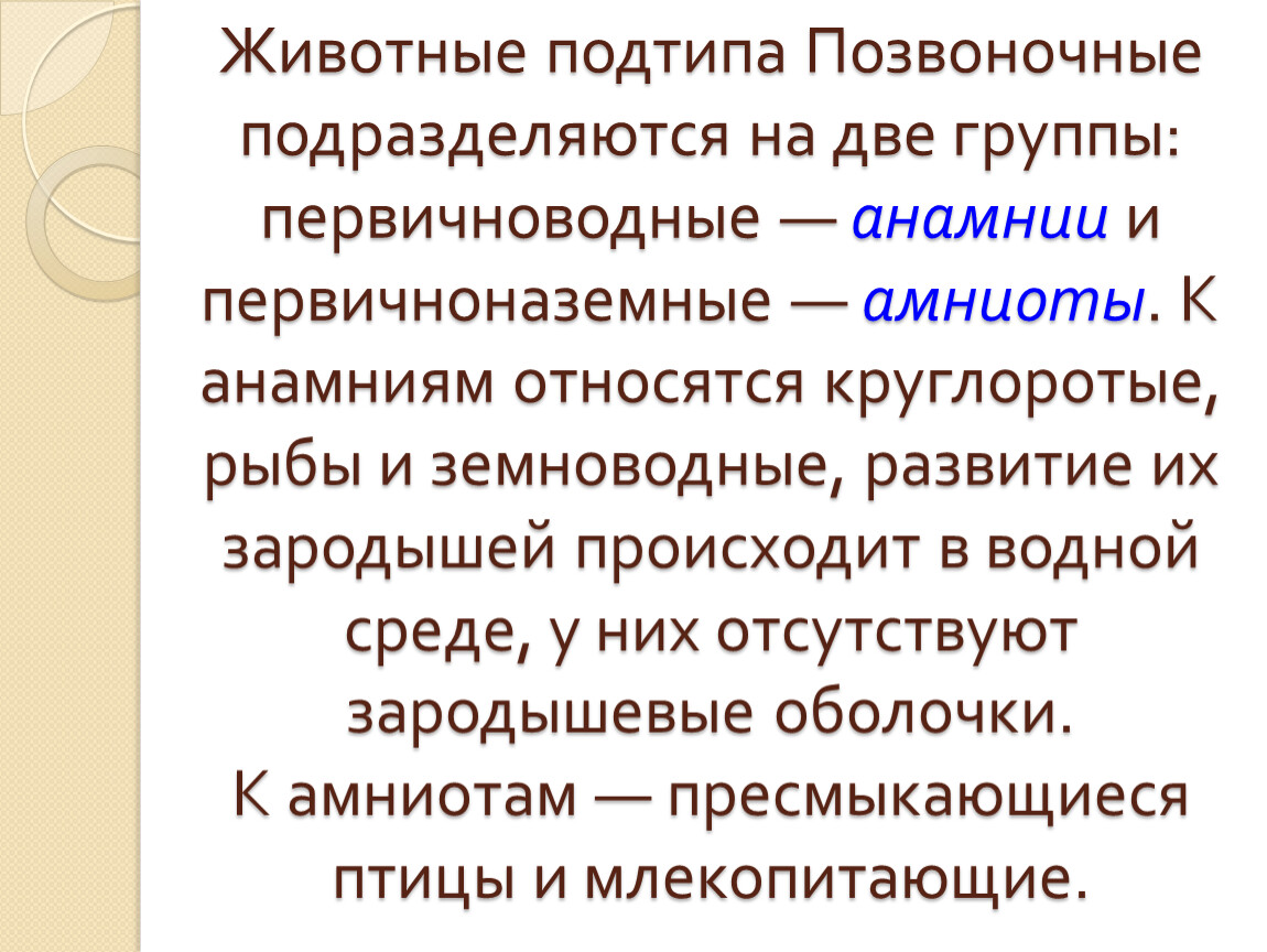 Признаки позвоночных. Общие признаки позвоночных животных. Позвоночные основные признаки. Общая характеристика хордовых. Позвоночные животные признаки.