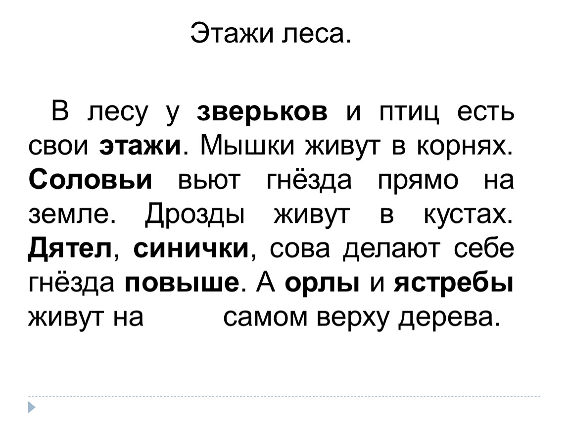 Изложение этажи в лесу 2 класс презентация