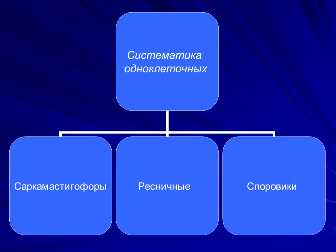 Кто является субъектом экономической деятельности