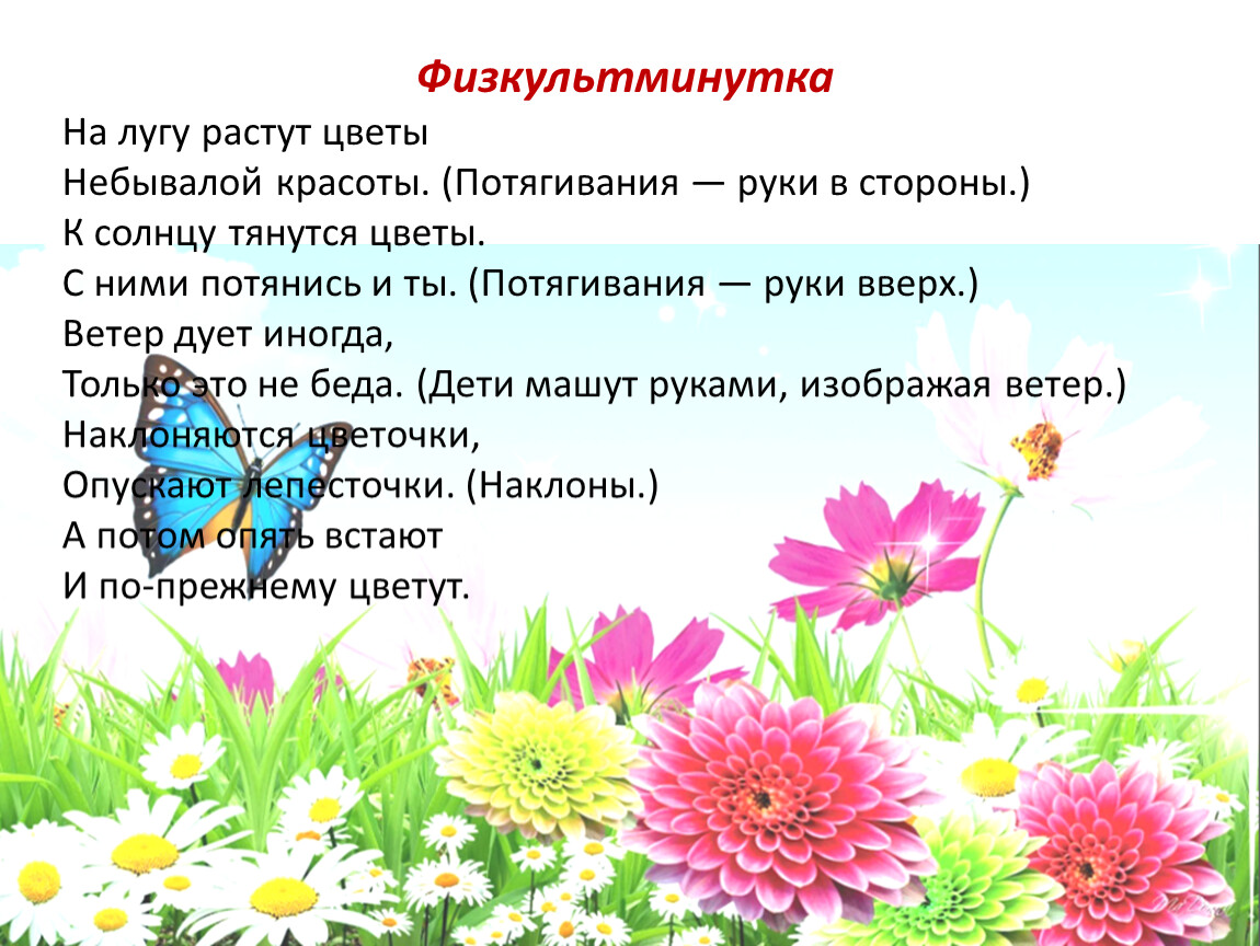 Распускаются цветы небывалой красоты падеж. Физкультминутка на лугу растут цветы. Физминутка на лугу растут цветы. На лугу растут цветы небывалой красоты физкультминутка.