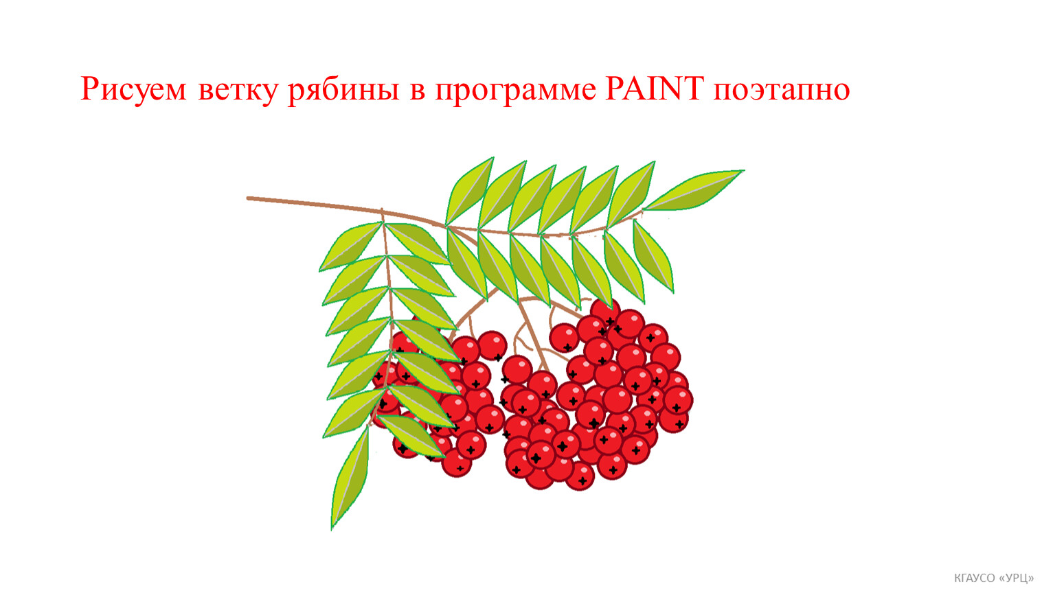 Учимся правильно рисовать веточку рябины