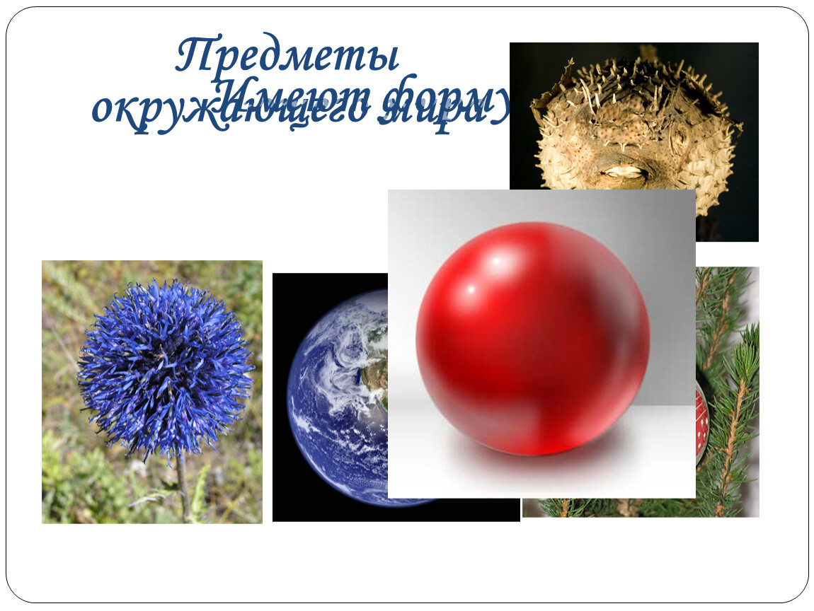 Планета имеющая форму шара. Что имеет форму шара. Украина имела форму шара.