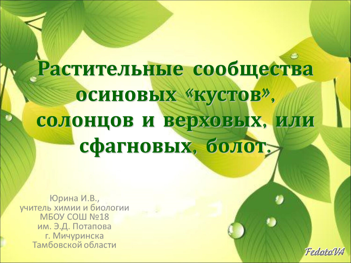 Зеленый мир 4 класс. Зеленый фон экология. Проект по окружающему миру. Фоновый лист для проекта. Зеленый лист экология.