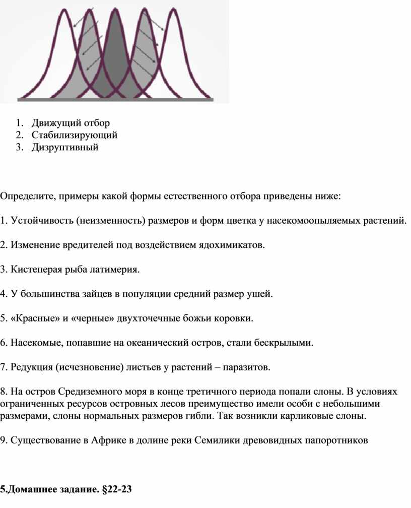 Что такое стабилизирующий отбор. Формы отбора движущий стабилизирующий дизруптивный. Движущий отбор стабилизирующий отбор дизруптивный отбор. Движущая форма естественного отбора примеры.