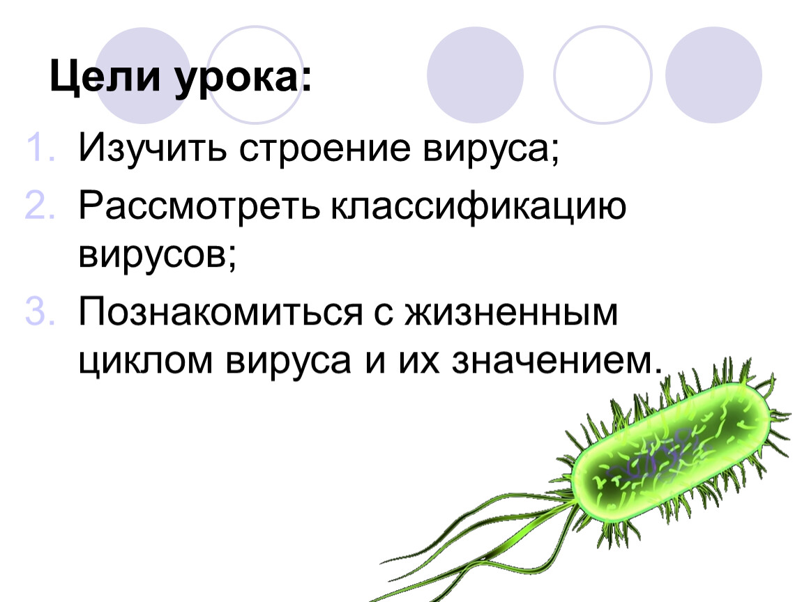 Индивидуальный проект по биологии. Вирусы задачи проекта. Задачи проекта вирусы в биологии. Проект по теме вирусы биология задачи. Задачи по проекту биологии вирусы.