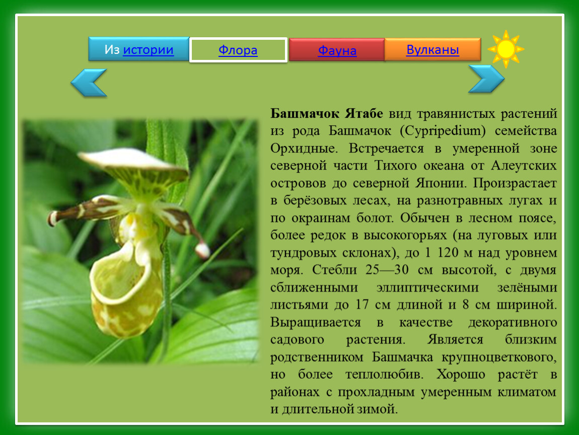 Флора россии проект