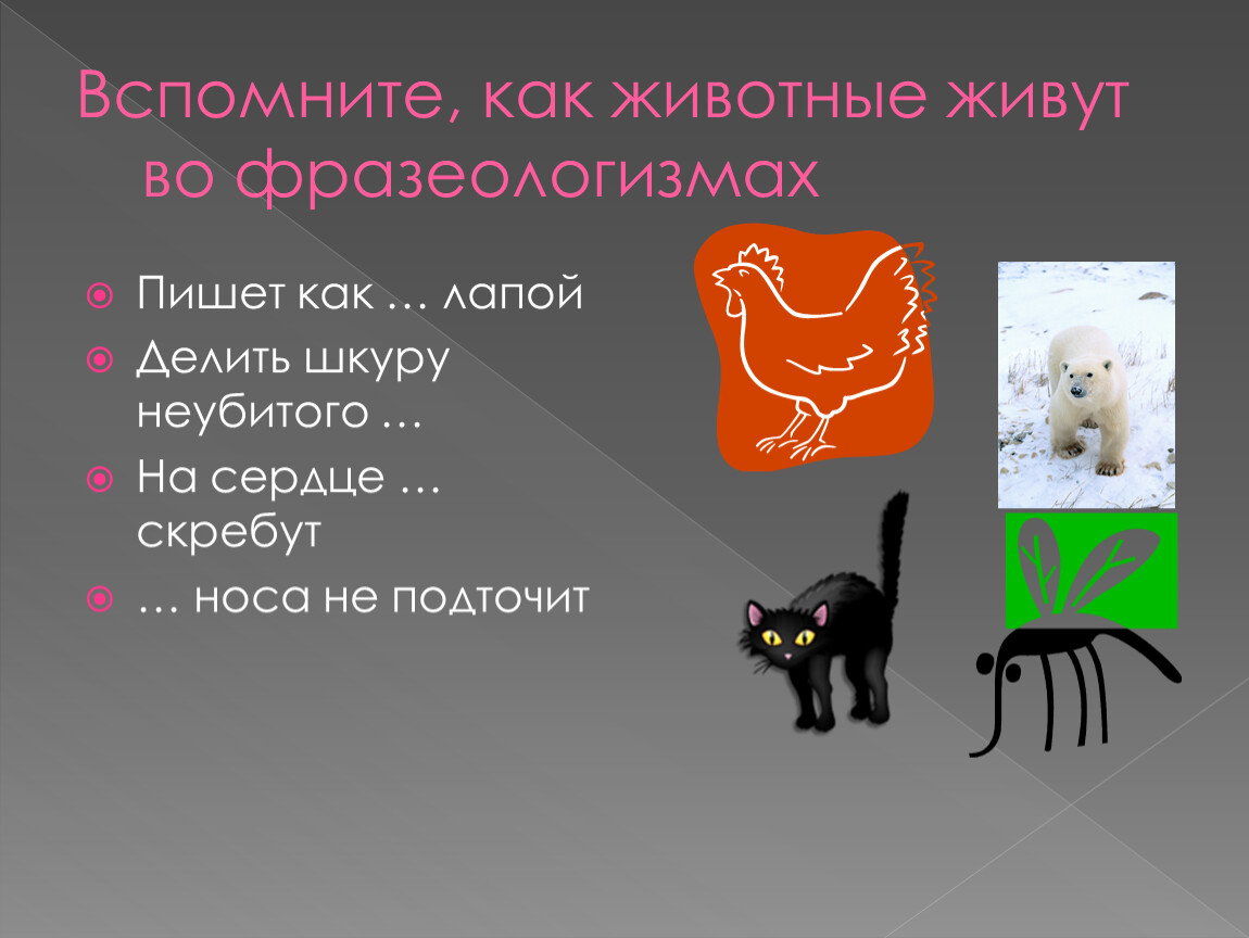 Фразеологизмы кошки скребут на душе. Кошки на сердце скребут. Фразеологизмы про кошек. Фразеологизмы с названиями животных. Фразеологизмы про кошек и собак.