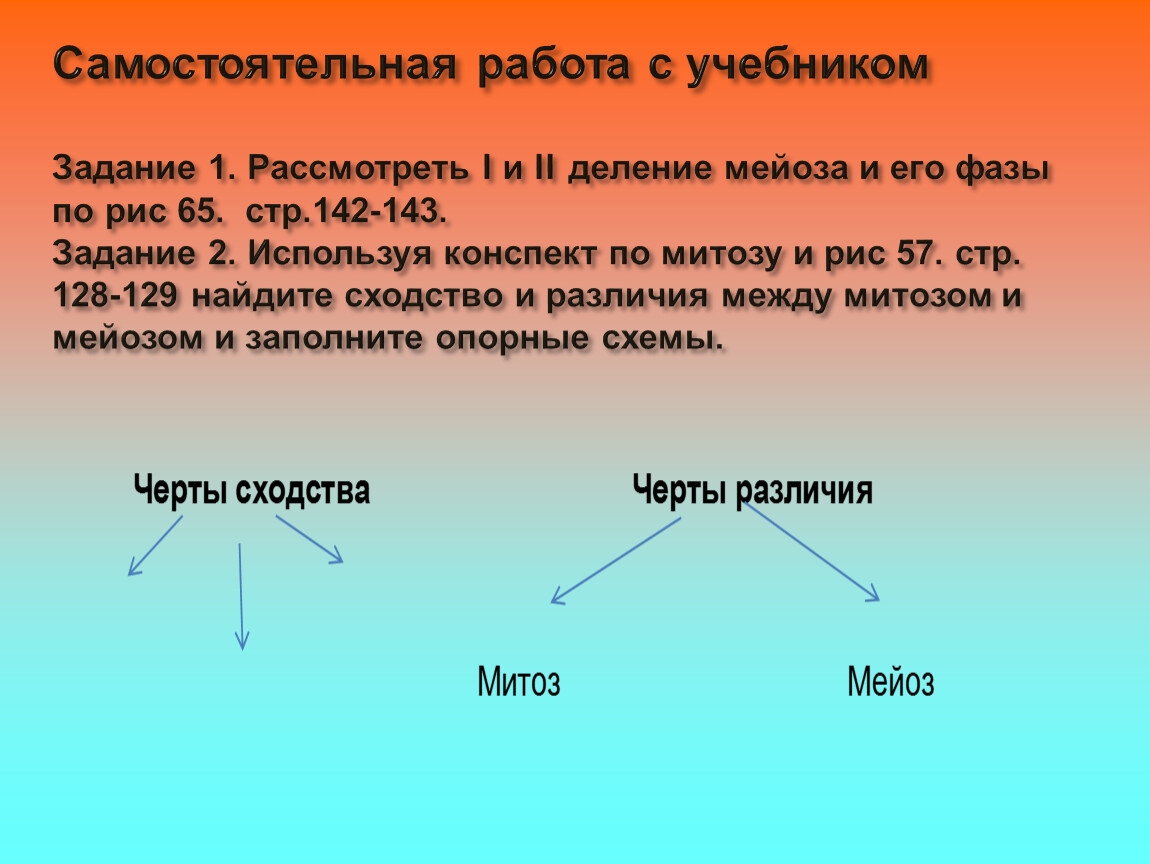 Рассмотрите деление. Мейоз самостоятельная работа с учебником. Действие деление рассматривается на задачах вида. Кроссворд на тему митоз и мейоз.