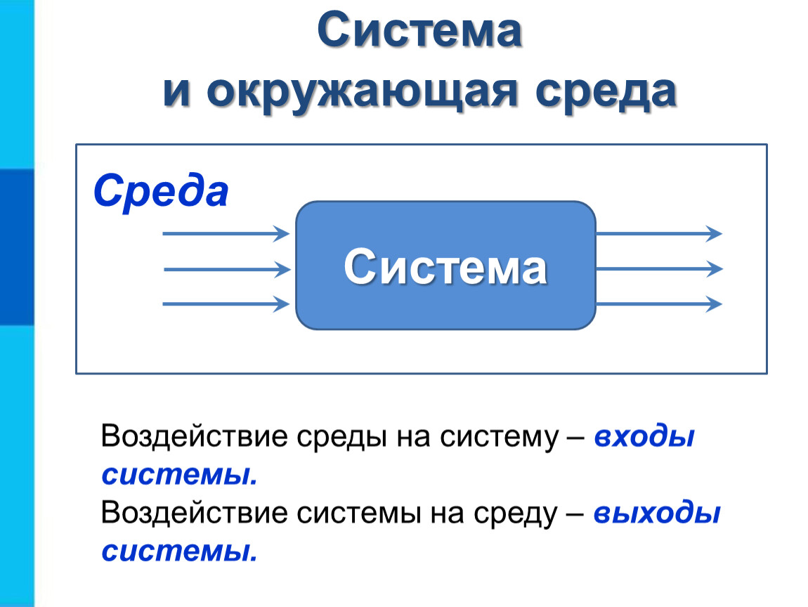 Объекты окружающего. Система объектов Информатика 6 класс. Система и окружающая среда. Системы объектов. Среда системы.