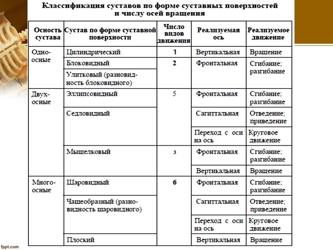 Таблица оси. Анатомическая классификация суставов. Типы суставов по форме суставных поверхностей. Классификация суставов по функциям суставных поверхностей. Классификация суставов по осям движения.