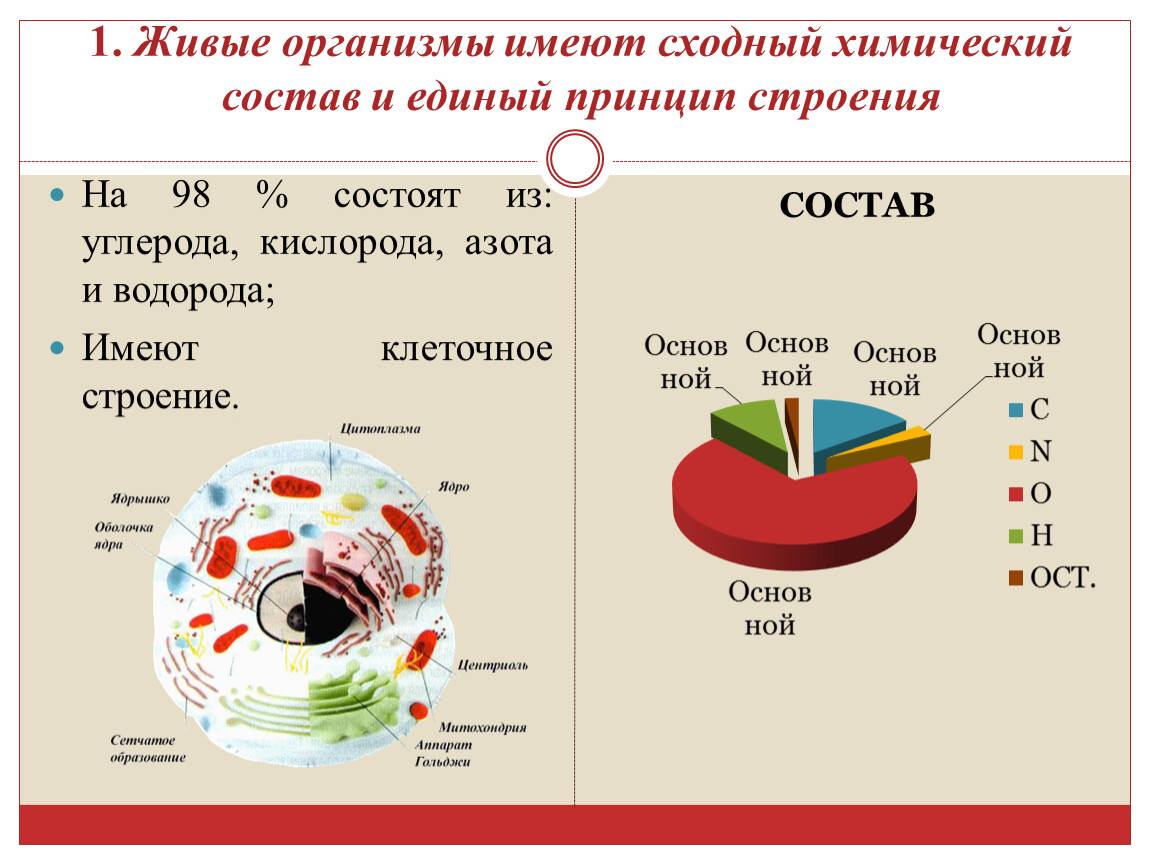 Химический состав биология. Состав живых организмов. Хим состав живых организмов. Определенный химический состав живых организмов. Химический состав организма.