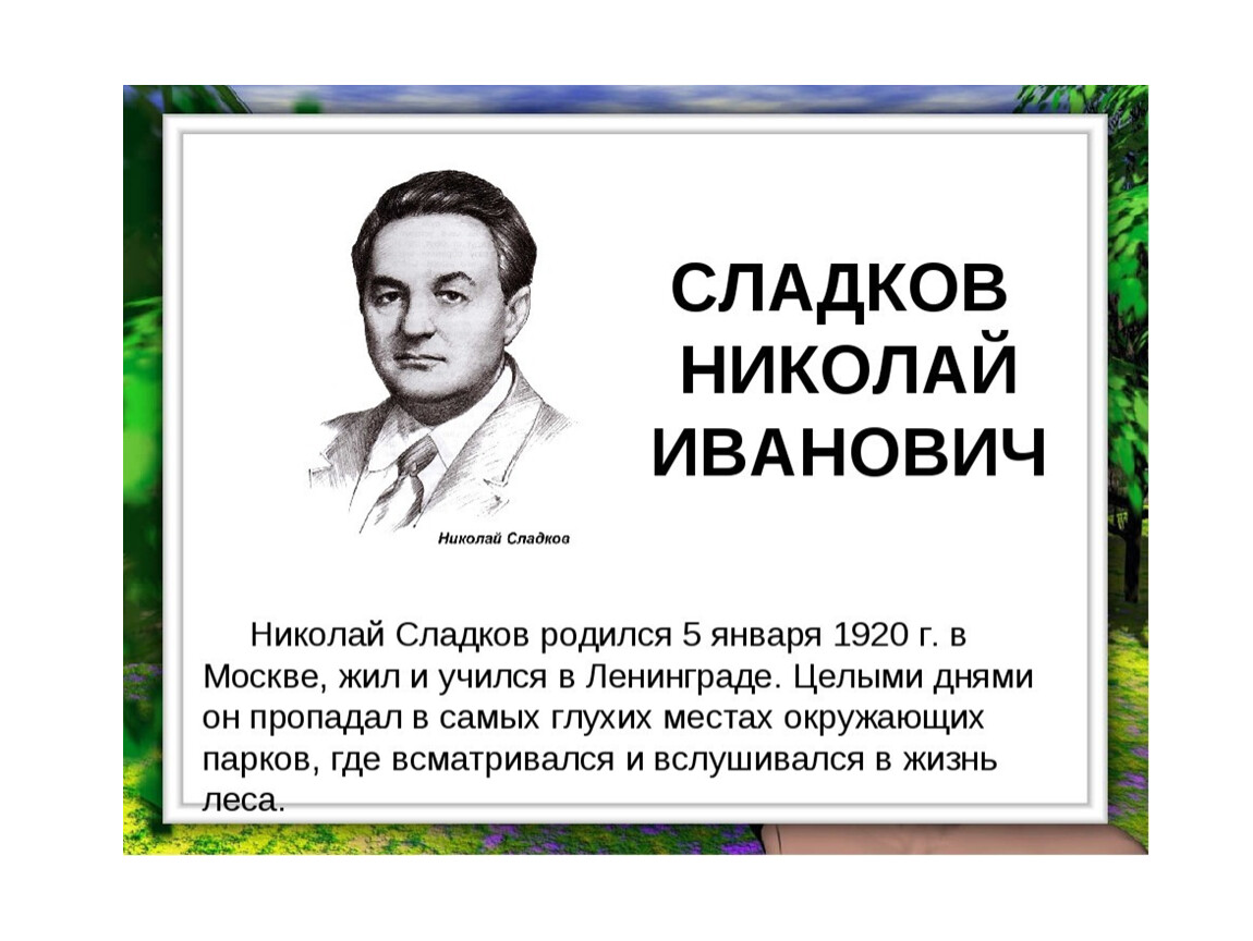 Химия 9 сладков. Сладков Николай Иванович. Портрет н Сладкова. Портрет н Сладкова для детей. Портрет Николая Сладкова.