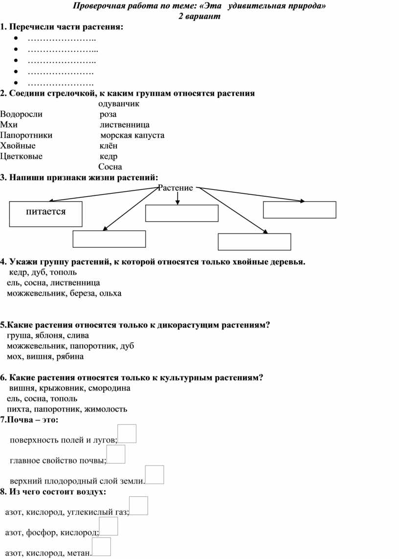 Эта удивительная природа проверочная работа 3