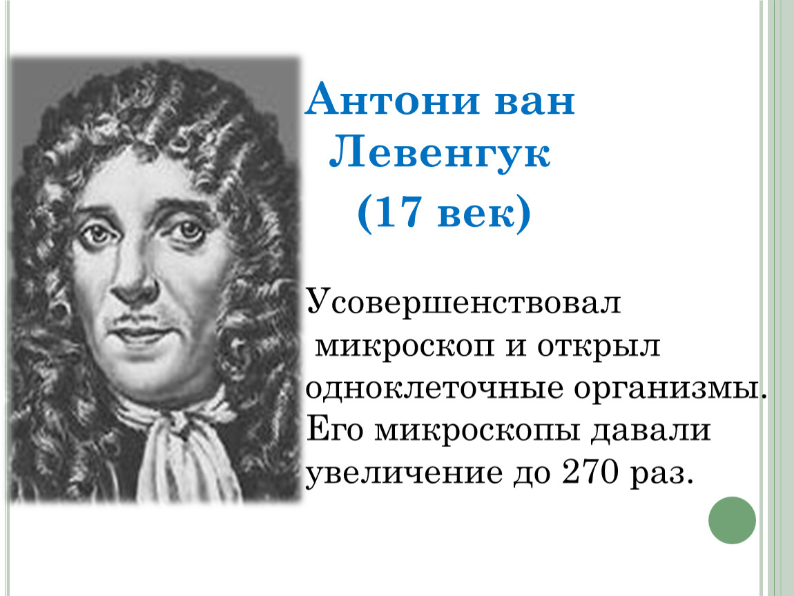 Ливенгук. Антоний Ван Левенгук. Антони Ван Левенгук вклад. Антони Ван Левенгук открыл.