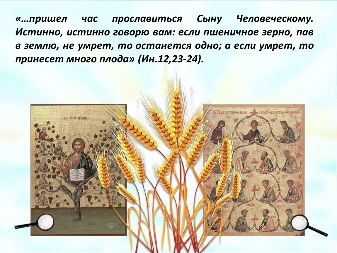 Приходит час. Истинно говорю вам если пшеничное зерно. Пшеничное зерно, пав в землю. Если зерно падши в землю. Если пшеничное зерно пав в землю не.