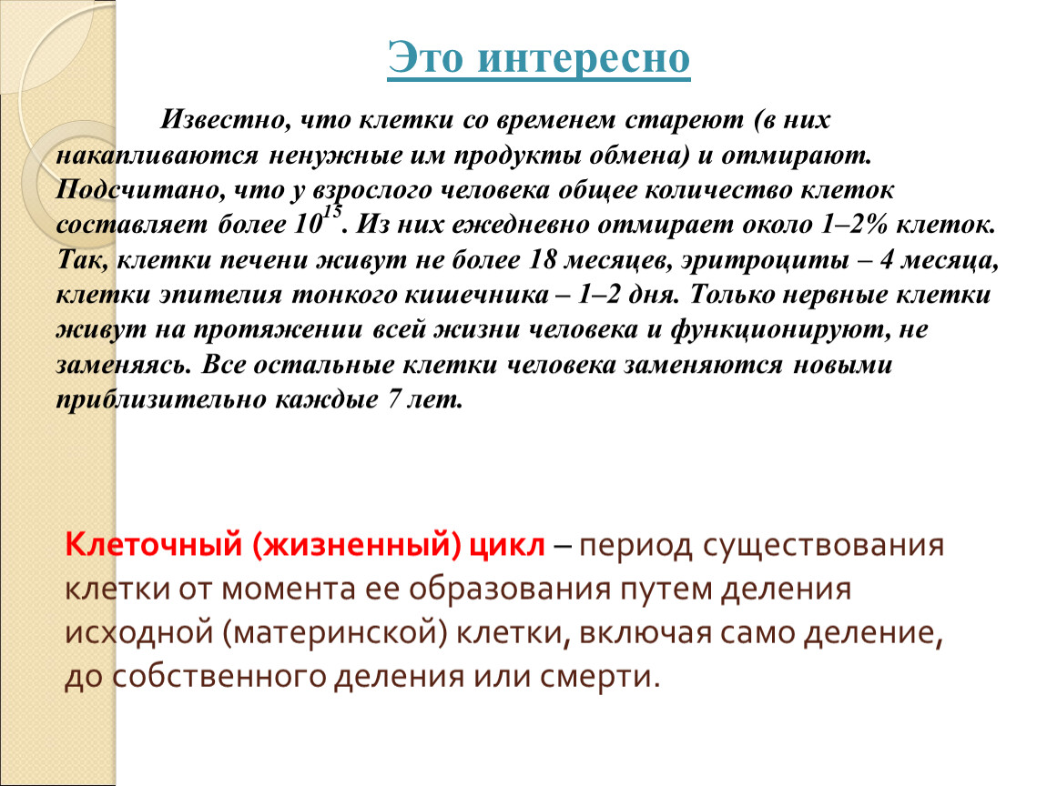 Исходные клетки это. Период существования клетки от ее момента. Материнская клетка. Доказал что новые клетки образуются из исходных материнских клеток.