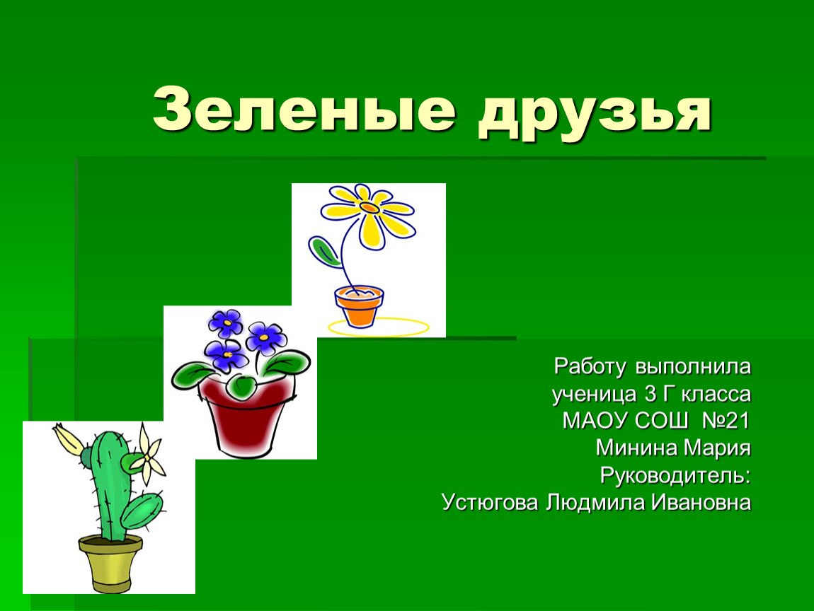 Друзья растений. Наши зеленые друзья. «Зеленые друзья – комнатные цветы» - надпись. Зеленые друзья мир комнатных растений. Презентация мой зеленый друг.