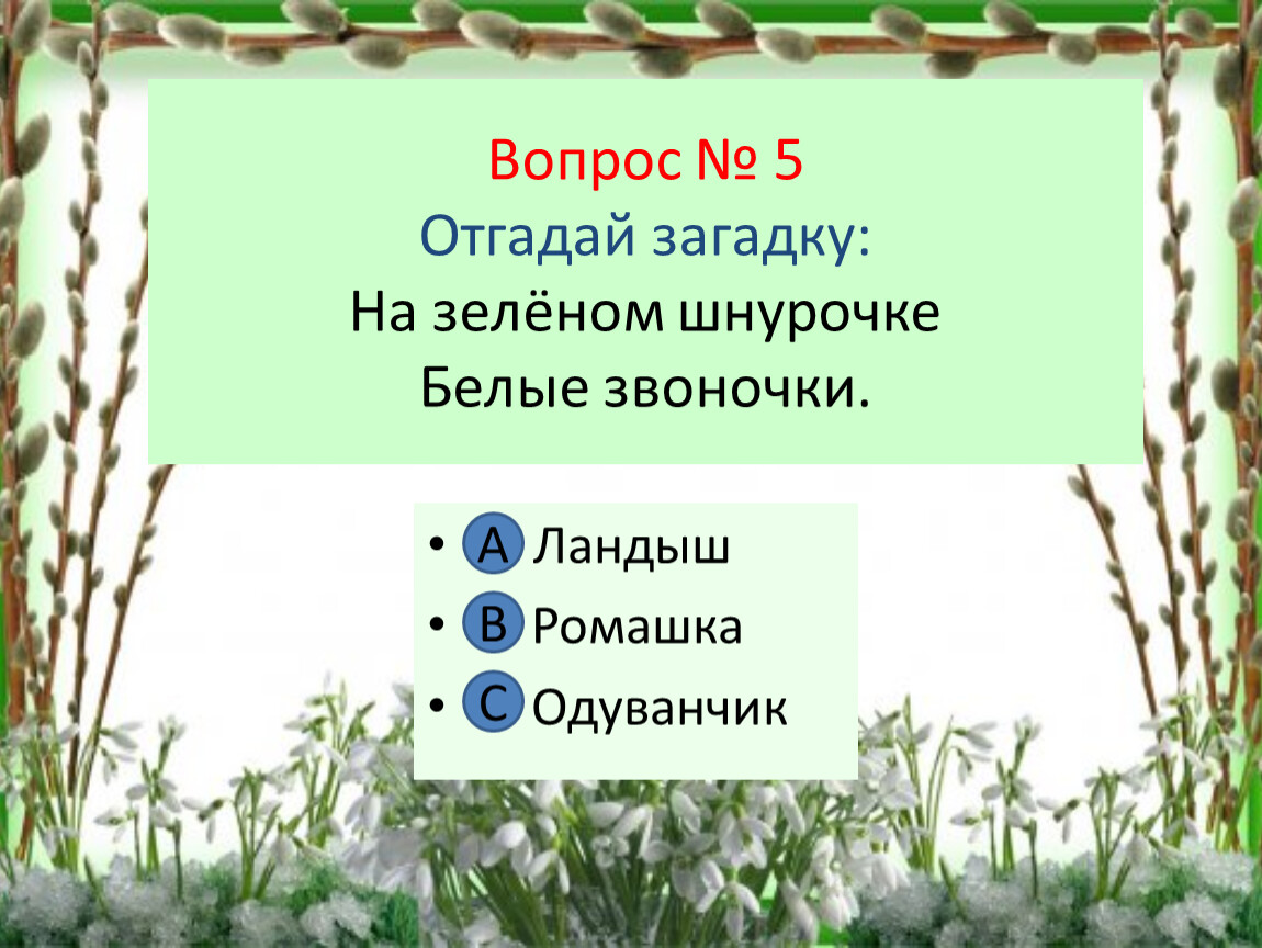 Белый по белому написал белым загадка. На зеленом шнурочке белые звоночки. На зелёном шнурочке белые звоночки ответы. Отгадай загадку на белом шнурочке. На зеленом шнурочке белые звоночки ответ на загадку.