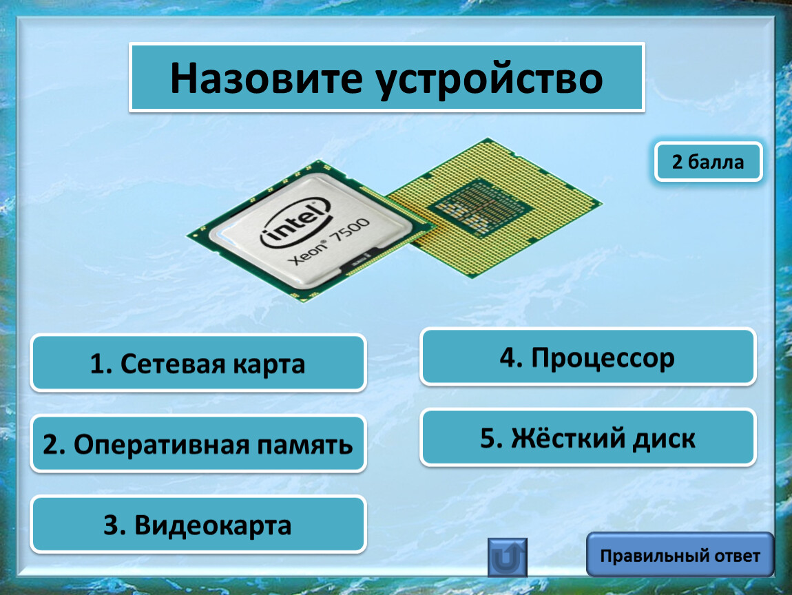 Карта процессора. Сетевая карта с процессорами. Сетевые устройства это в информатике. Процессорная карта фото.