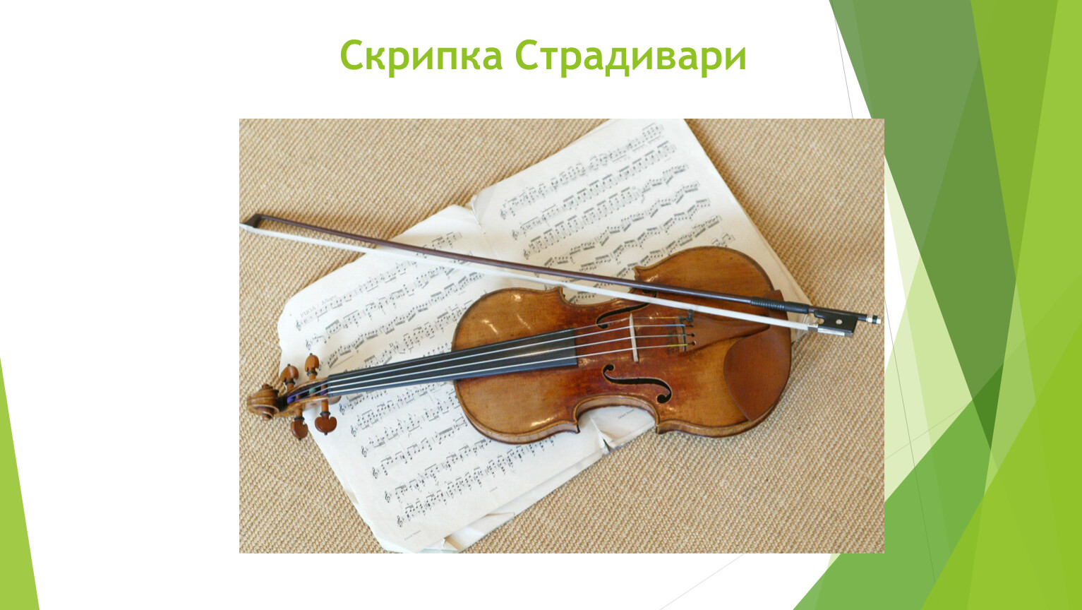 Русский язык 8 класс скрипка. Скрипка. Родина скрипки. Скрипка Clement 1837. Backplates скрипка.