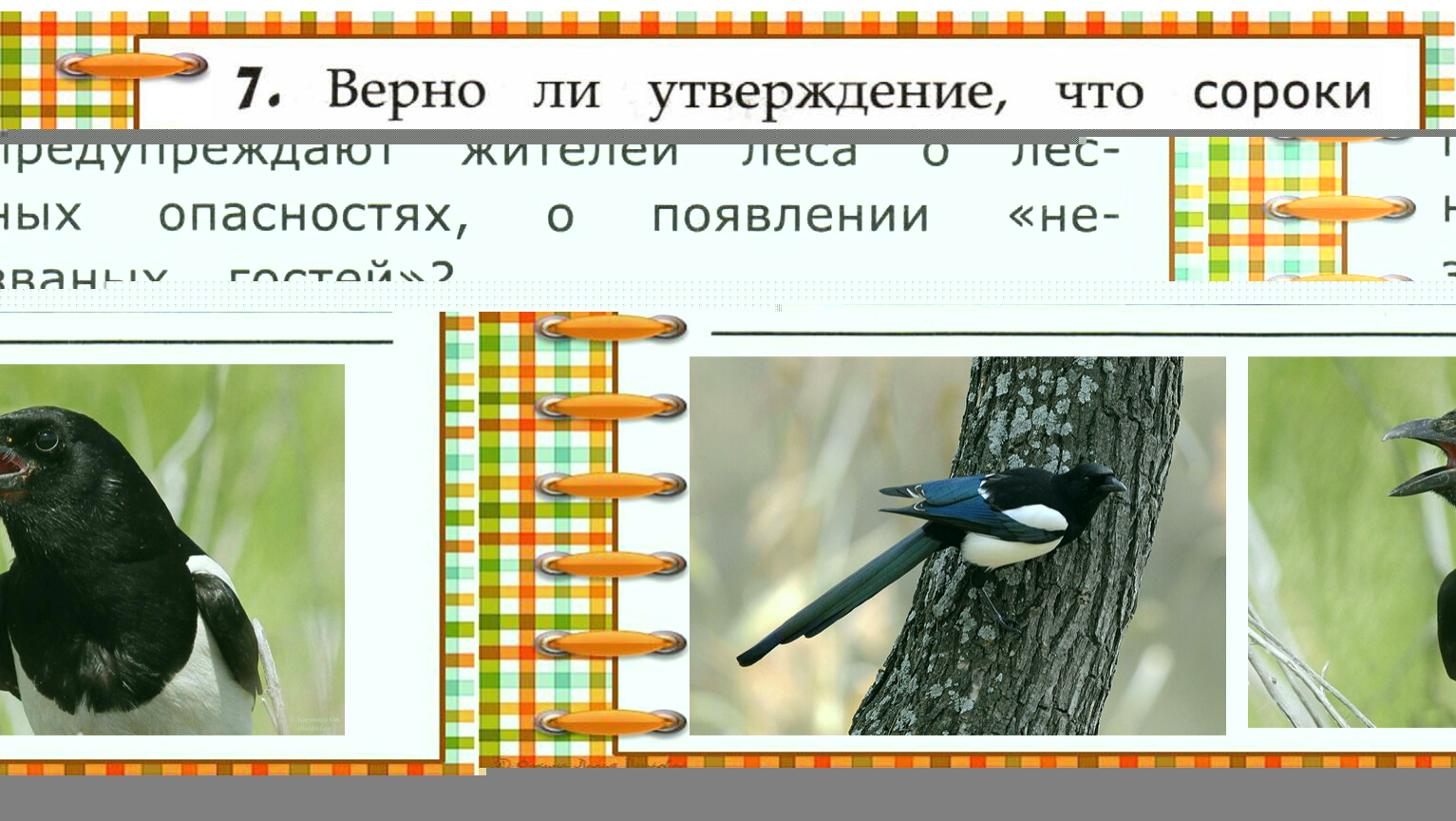 Древовидный список работ по достижению результатов проекта это