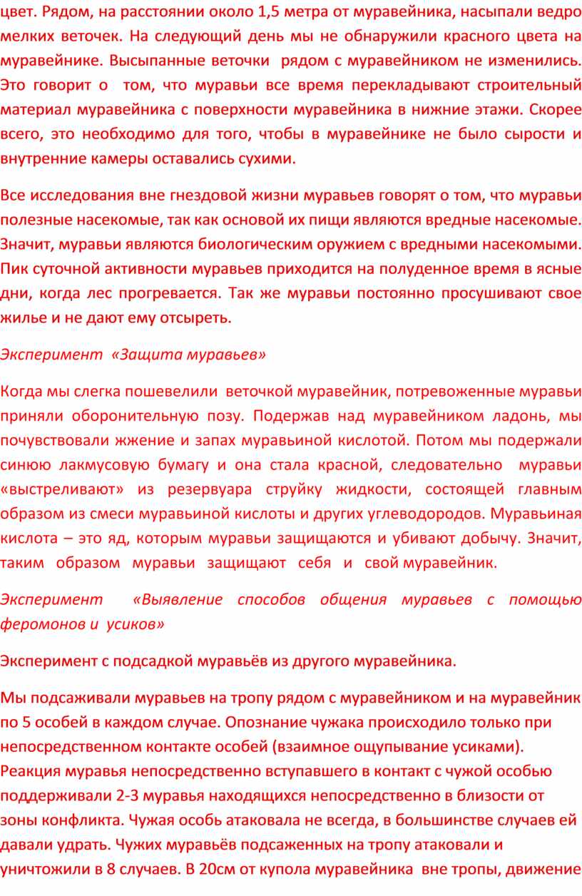 Исследовательская работа о жизнедеятельности и поведении муравьев