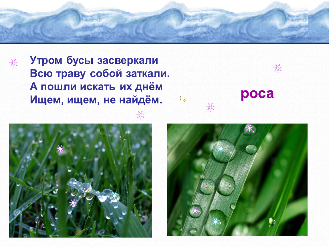 Найдите росу. Утром бусы засверкали всю траву. Окружающий мир роса. Загадка про росу. Что такое роса 3 класс окружающий мир.