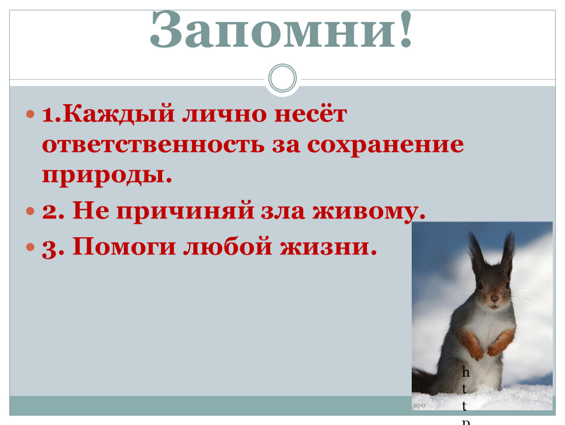 Каждого лично. Я лично несу ответственность за сохранение природы. Я лично несу ответственность за сохранение.