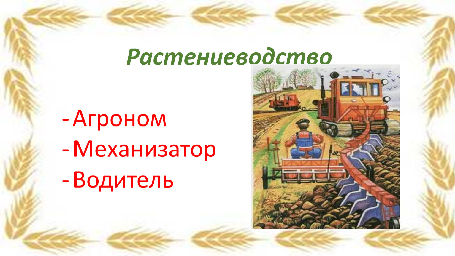 Растениеводство Агроном Механизатор
