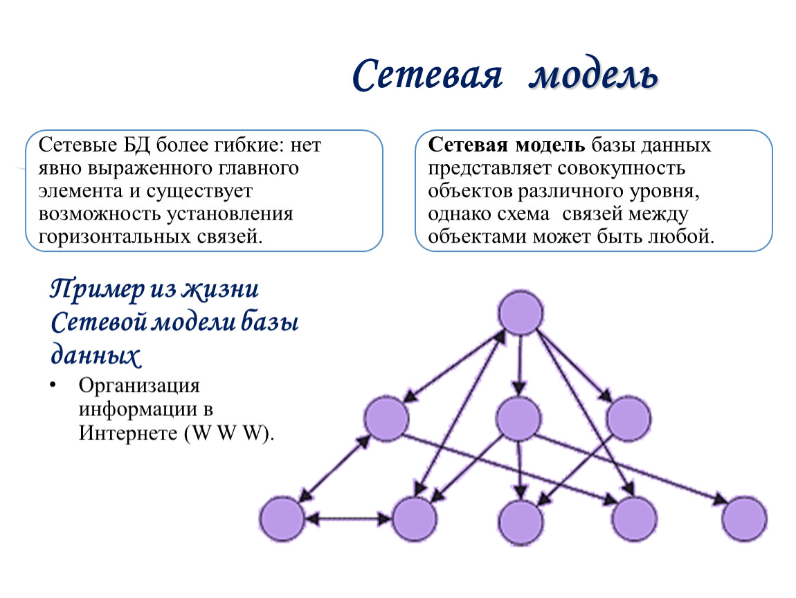 Из каких компонентов состоит сеть. Сетевая модель базы данных пример. Сетевая база данных схема. Иерархическая сетевая модель. Основные элементы сетевой модели данных.