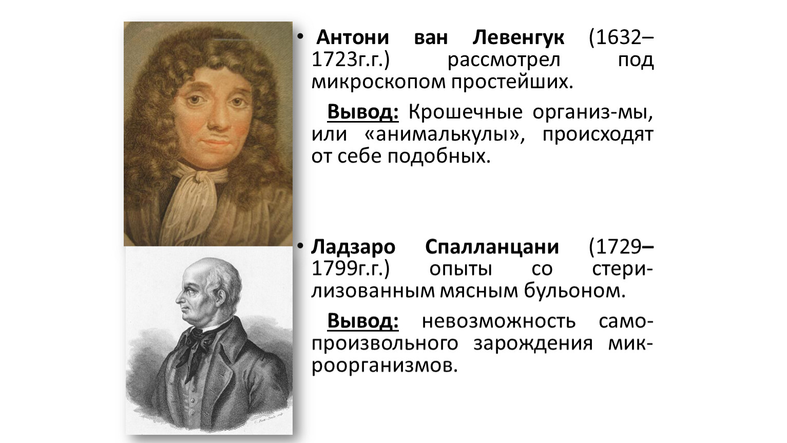 Антони Ван Левенгук (1632-1723) рисунки. Левенгук вклад в биологию. Антони Ван Левенгук открытия. Левенгук портрет.