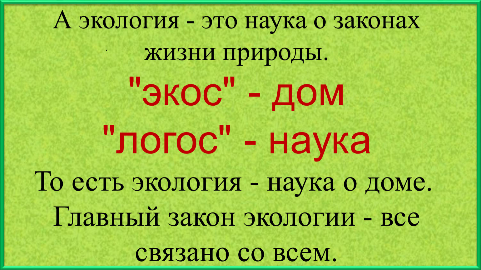 Библиотечный урок по Экологии 