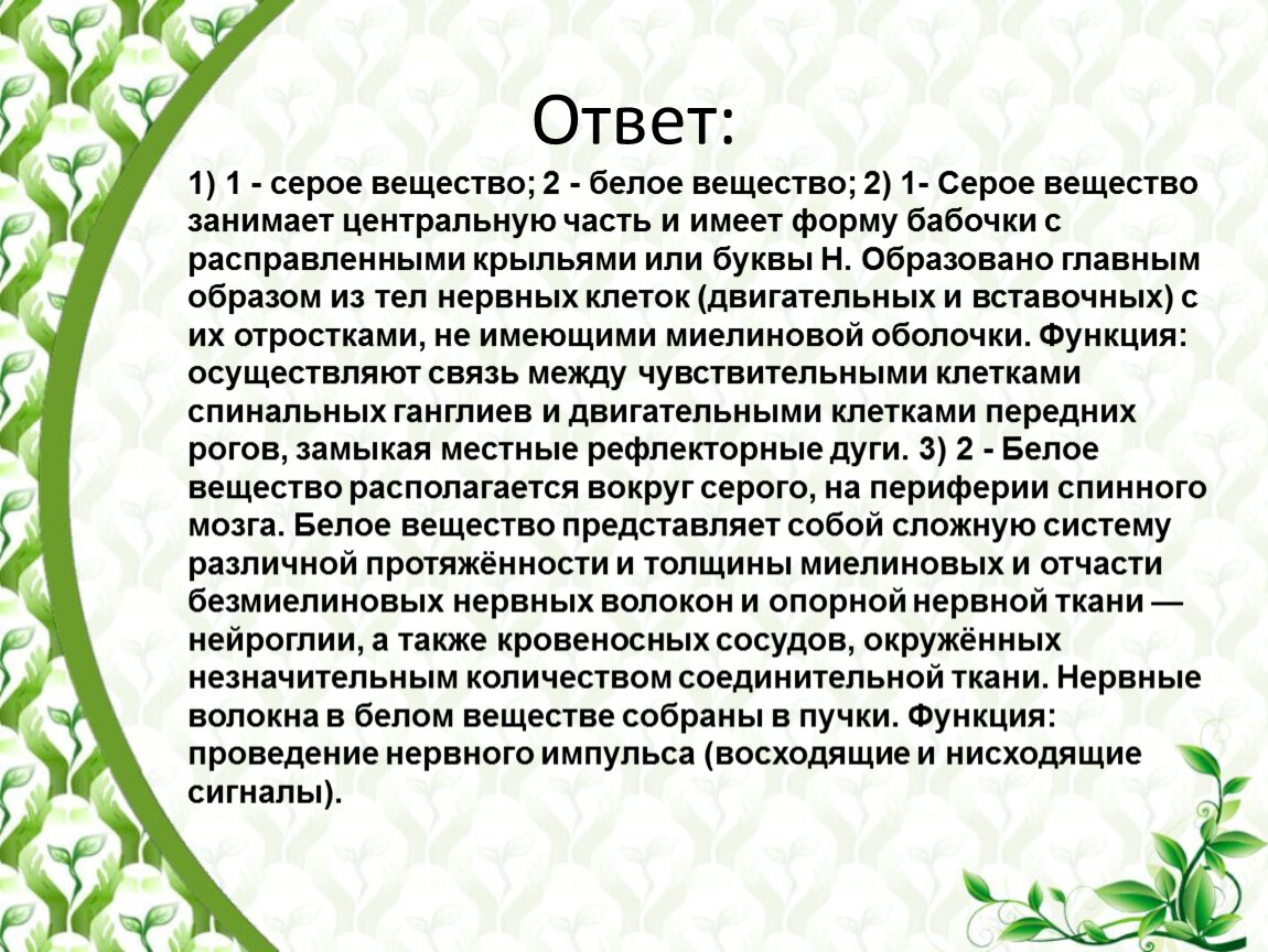 Поверхность образована серым веществом. Серое вещество представляет собой. Серое вещество представляет собой ответ. Серое вещество представлено. Чем представлено серое вещество.