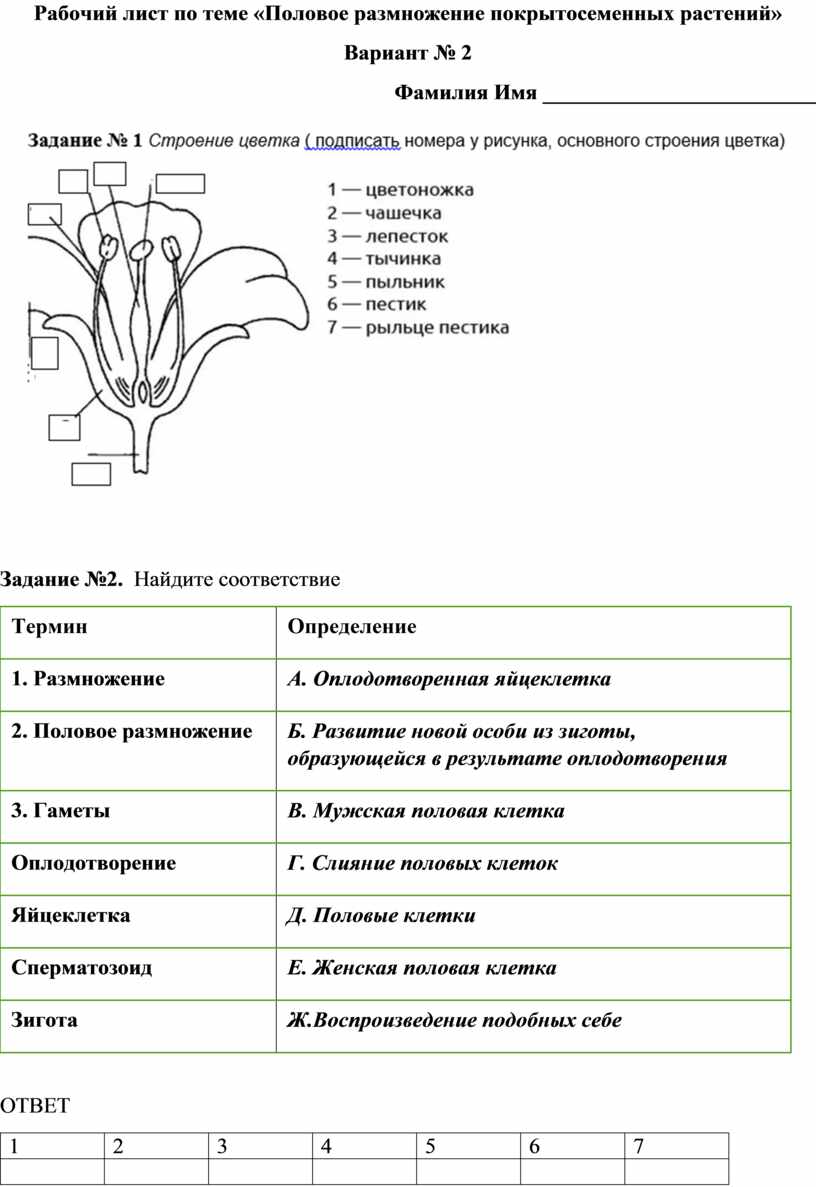 Рабочий лист по теме «Половое размножение покрытосеменных растений»